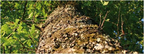 Ecologie